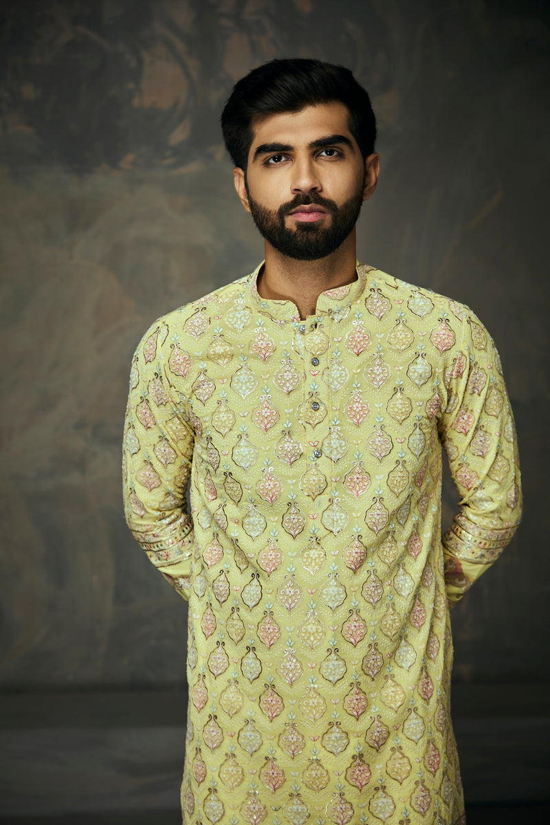 Light Yellow Georgette Heavy Work Kurta with Horse Motif  Borders